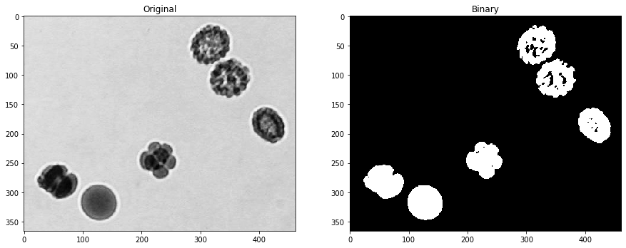 binary-mask-refinement-bio-image-analysis-notebooks